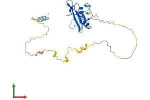 AlphaFold protein structure predicition of Mouse Recombinant Shf Protein, UniprotID Q8CG80 (SHF Protein (AA 1-238) (His tag))