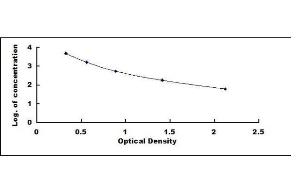 Hydroxyproline ELISA Kit