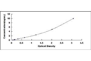 Typical standard curve (GBP5 ELISA Kit)