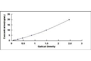 Typical standard curve (C5 ELISA Kit)