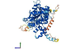 AlphaFold protein structure predicition of Mouse Recombinant Abhd16b Protein, UniprotID Q80YU0