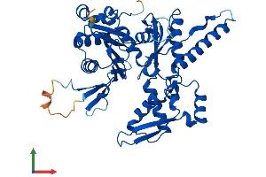 Protein Structure (PS) image for ARP3 Actin-Related Protein 3 Homolog B (ACTR3B) (AA 1-418) protein (His tag) (ABIN7552358)