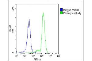 Overlay histogram showing K562 cells stained with C(green line). (MYD88 antibody  (AA 136-164))