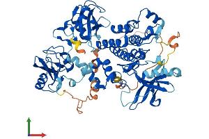 AlphaFold protein structure predicition of Mouse Recombinant Syk Protein, UniprotID P48025 (SYK Protein (AA 1-629) (His tag))