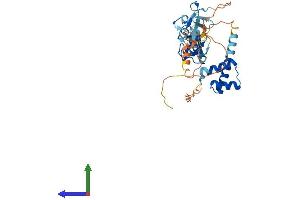 AlphaFold protein structure predicition of Human Recombinant ISL2 Protein, UniprotID Q96A47 (ISL2 Protein (AA 1-359) (His tag))