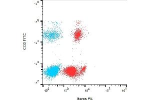 Flow cytometry analysis (intracellular staining) of Ikaros in human peripheral blood leukocytes with anti-Ikaros (4E9) PE. (IKZF1 antibody  (C-Term) (PE))