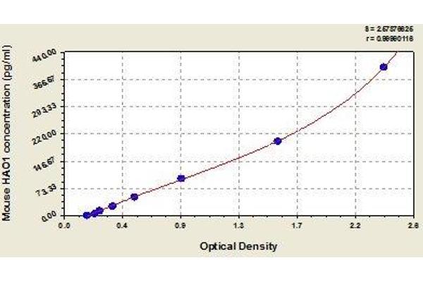 HAO1 ELISA Kit