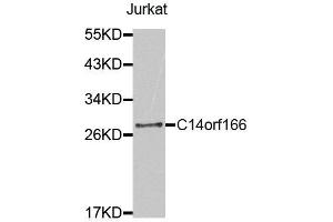 Western Blotting (WB) image for anti-Chromosome 14 Open Reading Frame 166 (C14orf166) antibody (ABIN1875532) (C14orf166 antibody)