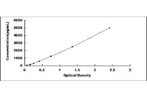 Typical standard curve (ADIPOQ ELISA Kit)