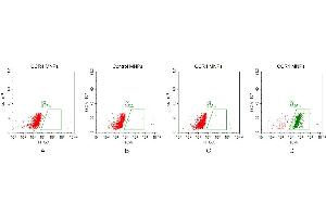 FACS analysis of MNPs A. (CCR4 Protein)