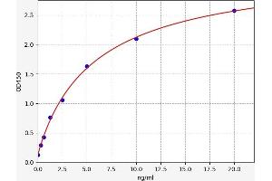 Typical standard curve (SYNGAP1 ELISA Kit)