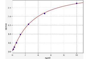 Typical standard curve (RAB8A ELISA Kit)