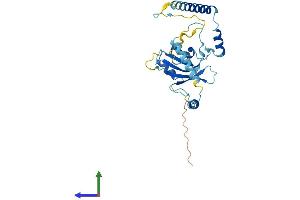 AlphaFold protein structure predicition of Mouse Recombinant Rrp7a Protein, UniprotID Q9D1C9 (RRP7A Protein (AA 1-280) (His tag))