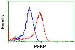 Image no. 2 for anti-phosphofructokinase, Platelet (PFKP) antibody (ABIN1500160)