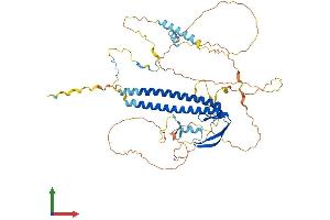 AlphaFold protein structure predicition of Mouse Recombinant Uri1 Protein, UniprotID Q3TLD5