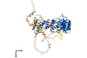 Chromosome 17 Open Reading Frame 66 (C17orf66) (AA 1-570) protein (His tag)