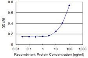 Detection limit for recombinant GST tagged FBXW12 is 3 ng/ml as a capture antibody. (FBXW12 antibody  (AA 265-354))