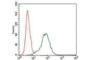 Flow cytometric analysis of HepG2 cells using IGF2 mouse mAb (green) and negative control (red). (IGF2 antibody  (AA 25-180))