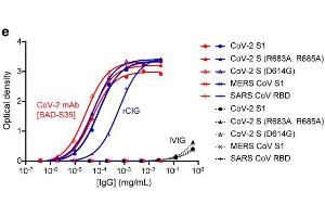 ELISA image for anti-SARS-CoV-2 Spike S1 (RBD) antibody (ABIN6952616)