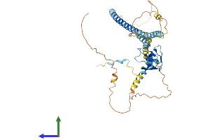 AlphaFold protein structure predicition of Mouse Recombinant Pex13 Protein, UniprotID Q9D0K1 (PEX13 Protein (AA 1-405) (His tag))
