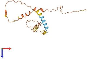 AlphaFold protein structure predicition of Human Recombinant FAM182B Protein, UniprotID Q5T319 (FAM182B Protein (AA 1-152) (His tag))