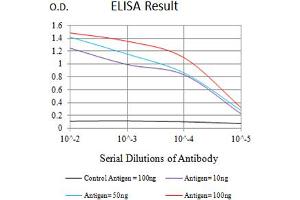 Black line: Control Antigen (100 ng),Purple line: Antigen (10 ng), Blue line: Antigen (50 ng), Red line:Antigen (100 ng) (TNFRSF4 antibody  (AA 29-214))