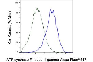 Validation of ATP synthase F1 subunit gamma knockdown using flow cytometry.