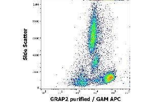 GRAP2 antibody