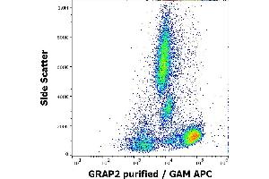 Flow cytometry intracellular staining pattern of human peripheral whole blood using anti-GRAP2 (UW40) purified antibody (concentration in sample 5 μg/mL, GAM APC).