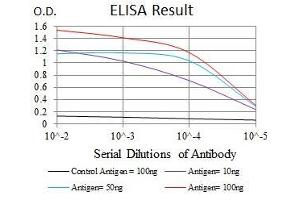 Black line: Control Antigen (100 ng), Purple line: Antigen(10 ng), Blue line: Antigen (50 ng), Red line: Antigen (100 ng), (C17orf53 antibody  (AA 282-527))