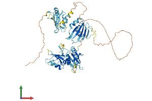 AlphaFold protein structure predicition of Mouse Recombinant Ptbp3 Protein, UniprotID Q8BHD7
