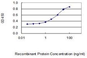 Detection limit for recombinant GST tagged C1orf31 is 0. (COA6 antibody  (AA 1-125))