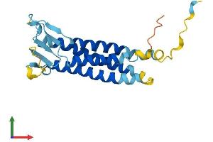 AlphaFold protein structure predicition of Mouse Recombinant Perp Protein, UniprotID Q9JK95 (PERP Protein (AA 1-193) (His tag))