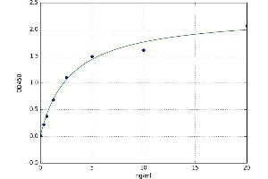Dual Specificity Phosphatase 9 (DUSP9) ELISA Kit