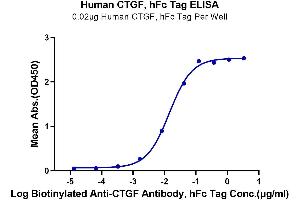 Immobilized Human CTGF, hFc Tag at 0. (CTGF Protein (AA 27-349) (Fc Tag))