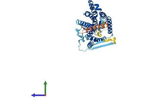 AlphaFold protein structure predicition of Human Recombinant HM13 Protein, UniprotID Q8TCT9