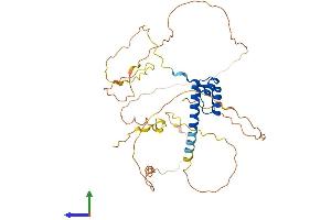 AlphaFold protein structure predicition of Mouse Recombinant Nkx2-1 Protein, UniprotID P50220 (NKX2-1 Protein (AA 1-372) (His tag))
