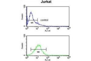 Flow Cytometry (FACS) image for anti-Myosin IA (MYO1A) antibody (ABIN3003156) (Myosin IA antibody)