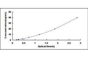 Low Density Lipoprotein Receptor-Related Protein 2 (LRP2) ELISA Kit