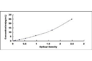 Complement Factor B ELISA Kit