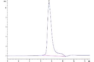 Size-exclusion chromatography-High Pressure Liquid Chromatography (SEC-HPLC) image for Interleukin 17F (IL17F) (AA 31-163) protein (His-Avi Tag,Biotin) (ABIN7275004)