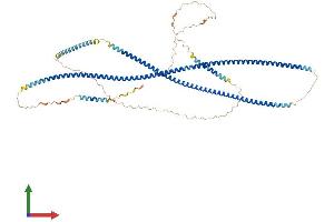 AlphaFold protein structure predicition of Human Recombinant GOLGA6D Protein, UniprotID P0CG33 (GOLGA6D Protein (AA 1-693) (His tag))