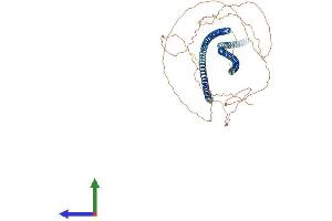 Protein Structure (PS) image for Keratin 2 (KRT2) (AA 1-639) protein (His tag) (ABIN7548726)
