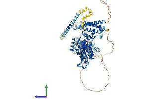 AlphaFold protein structure predicition of Human Recombinant SPAST Protein, UniprotID Q9UBP0