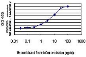 Detection limit for recombinant GST tagged TEAD4 is approximately 0. (TEAD4 antibody  (AA 151-260))