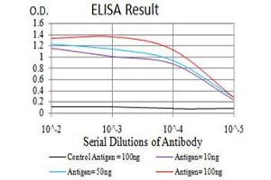 Black line: Control Antigen (100 ng);Purple line: Antigen (10ng); Blue line: Antigen (50 ng); Red line:Antigen (100 ng) (SEC31A antibody  (AA 429-571))