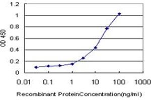 Detection limit for recombinant GST tagged HOXC12 is approximately 0. (HOXC12 antibody  (AA 1-100))