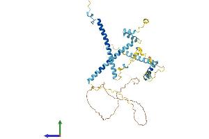 AlphaFold protein structure predicition of Human Recombinant CWC25 Protein, UniprotID Q9NXE8