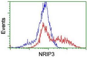 HEK293T cells transfected with either RC202937 overexpress plasmid (Red) or empty vector control plasmid (Blue) were immunostained by anti-NRIP3 antibody (ABIN2455893), and then analyzed by flow cytometry. (NRIP3 antibody)
