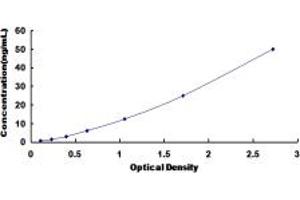 Typical standard curve (PKC alpha ELISA Kit)